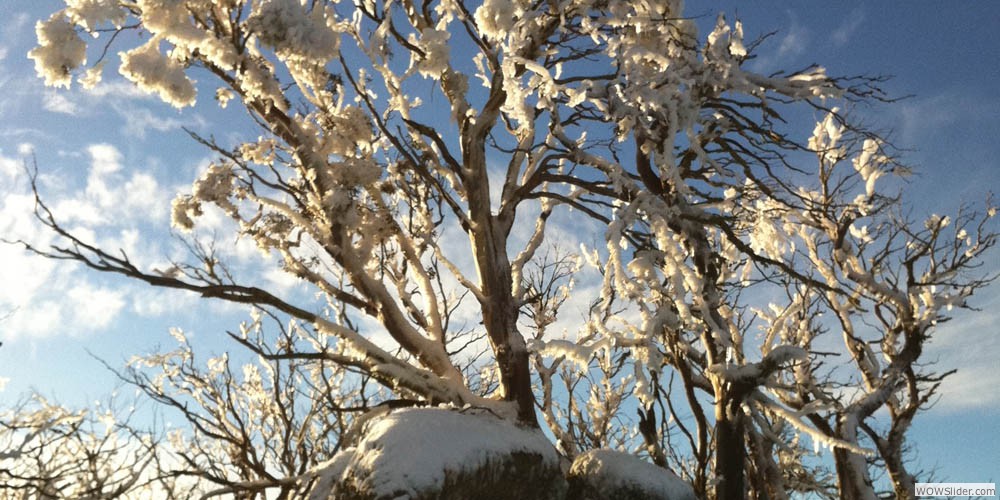 Right at the foot of the roof of Australia